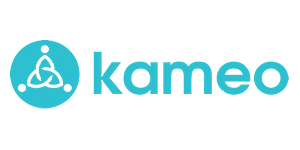 Kredit i bolaget Kameo